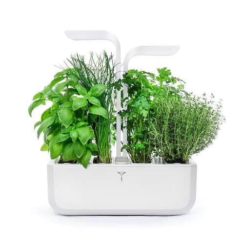 LED Herb Garden, Gift Ides for yout Boss 