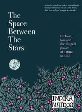 The Space Between the Stars cover