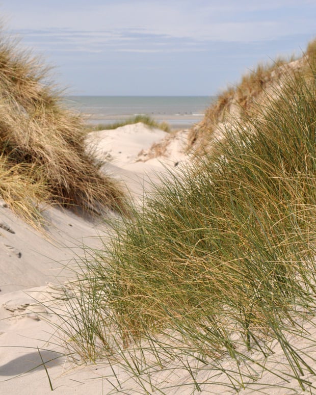 Baie de Somme, Hauts-de-France