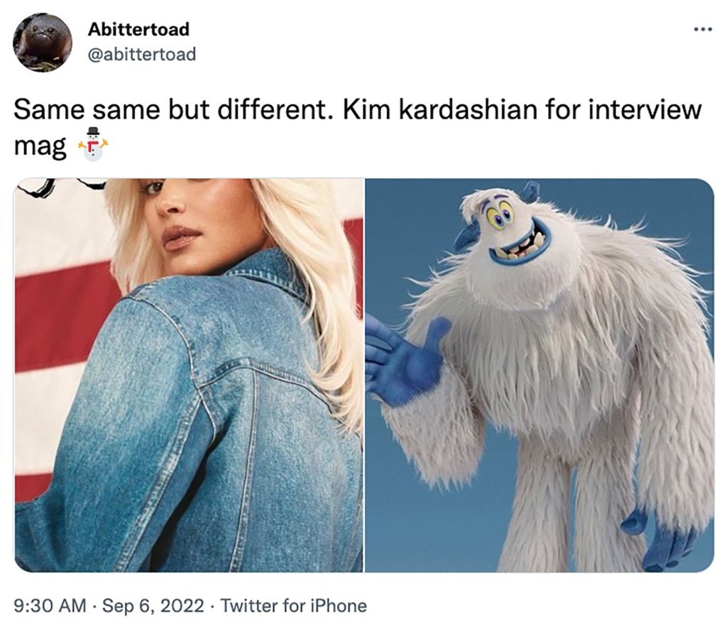 Kardashian's Interview cover had some fans jokingly comparing her to the abominable snowman.