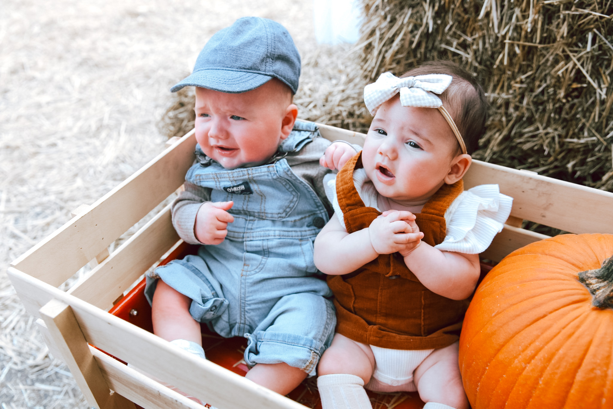 babies in pumpkin cart