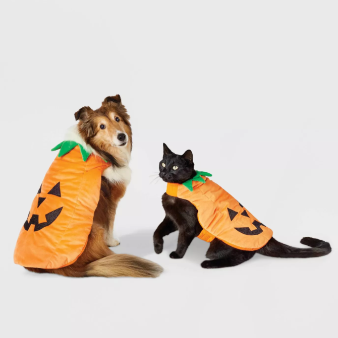 STYLECASTER | Pet Halloween Costumes