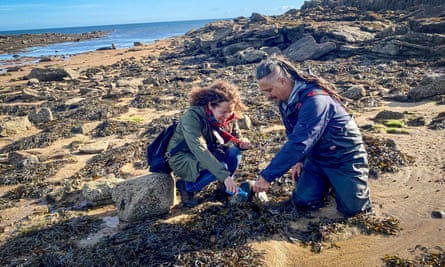 The seaweed foraging workshop