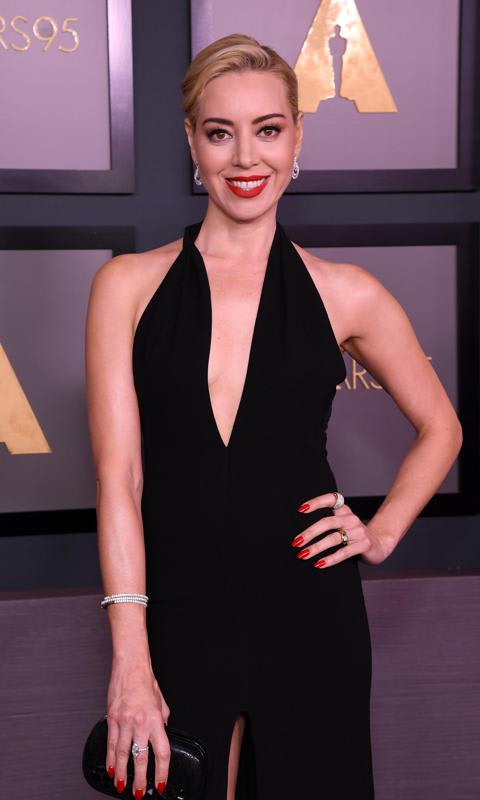Academy Of Motion Picture Arts And Sciences 13th Governors Awards