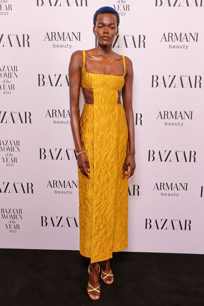2022 Harper's Bazaar Women Of The Year Awards Red Carpet Roundup 