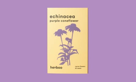 Herboo purple echinacea seeds