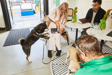 A group of human and dog friends try the tasting menu at Dogue, as a Christmas treat.