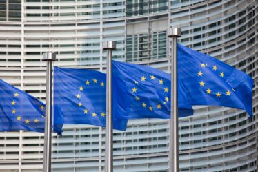 EU Considers Ban on ‘Forever Chemicals’, Urges Search for Alternatives