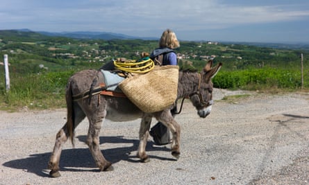 Donkey trekking, Ardeche, France