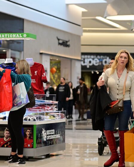 Are Americans Still Shopping?