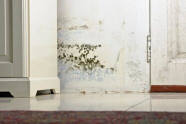 Mould patches on walls or ceilings should never be ignored.