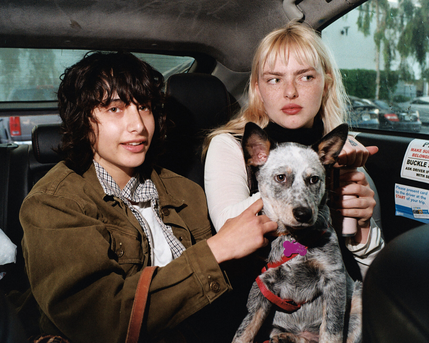 Two people and a white and grey dog sit close together in the backseat of a parked car. Behind them, through the back windshield, is a parking lot with trees.