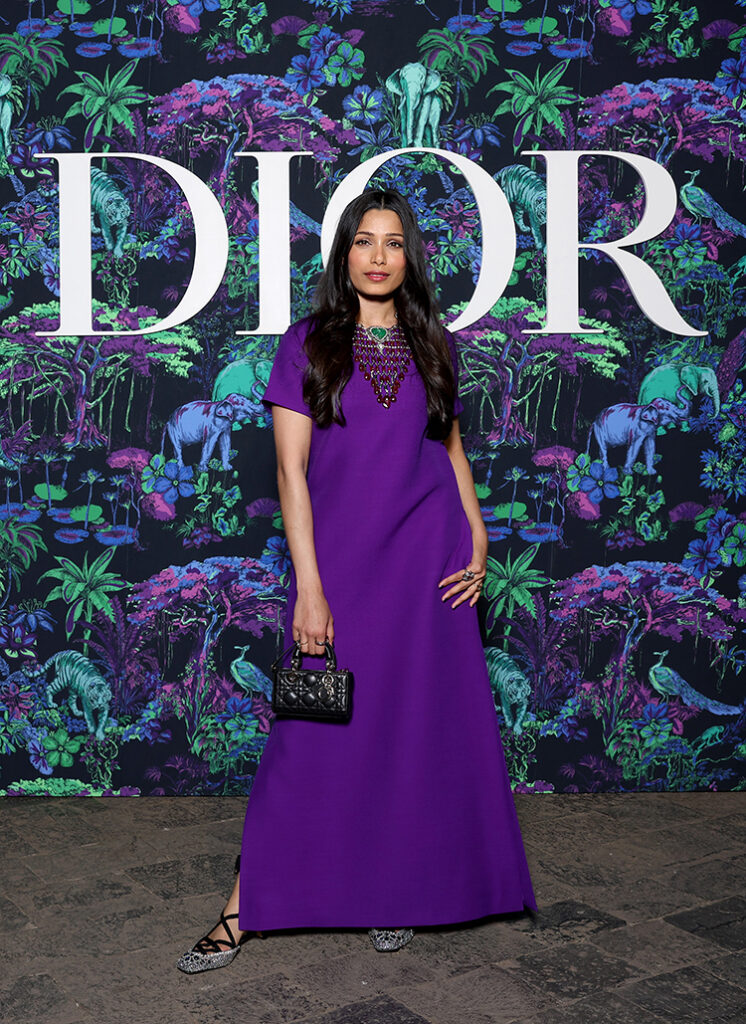 Freida Pinto attends the Christian Dior Womenswear Fall 2023 show