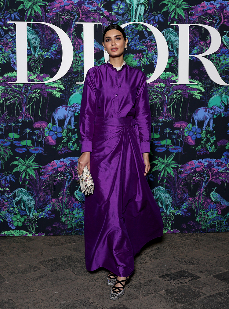 Diana Penty attends the Christian Dior Womenswear Fall 2023 show 