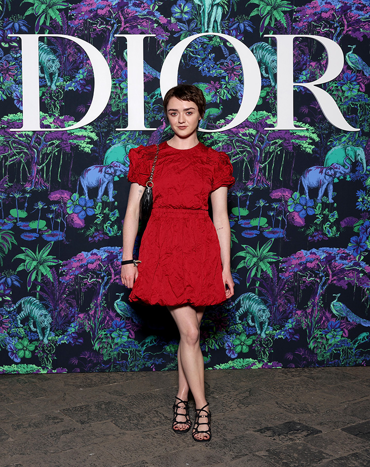 Maisie Williams attends the Christian Dior Womenswear Fall 2023 