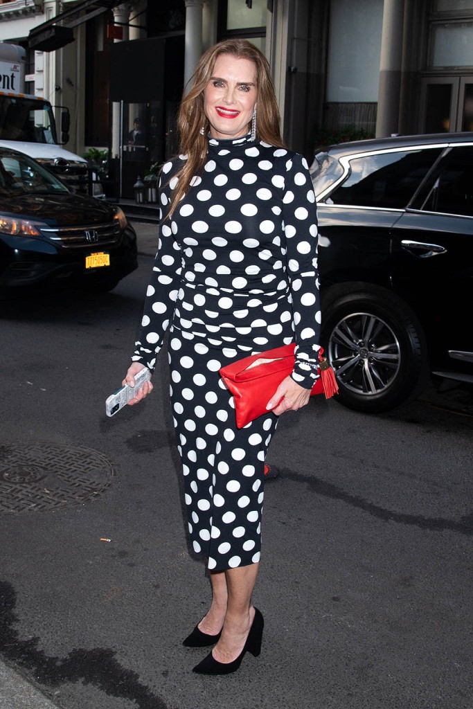 Brooke Shields, Tribeca Ball 2023, Celebrity Style, Pumps 