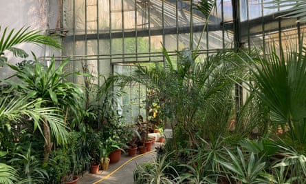 A greenhouse at Bucharest Botanical Garden.