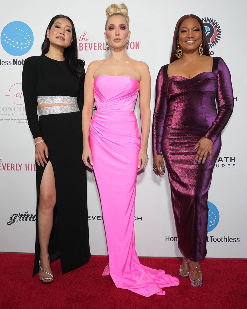 Erika Jayne, Garcelle Beauvais, Crystal Minkoff, Homeless Not Toothless Charity Gala, Red Carpet 