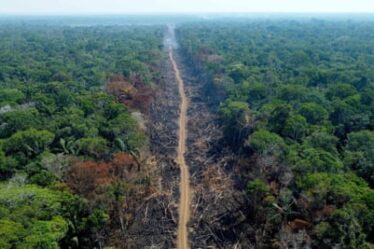 A deforested area on a stretch of the BR-230 (Transamazonian highway) in Humaitá, Amazonas State, Brazil.