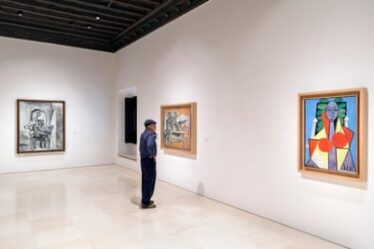 A visitor in a gallery at the Museo Picasso, Malaga, Costa del Sol, Andalucia, Spain.