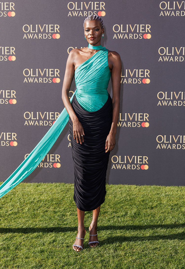 Sheila Atim Wore Robert Wu Couture To The Olivier Award 2023

Robert Wun Spring 2023 Couture