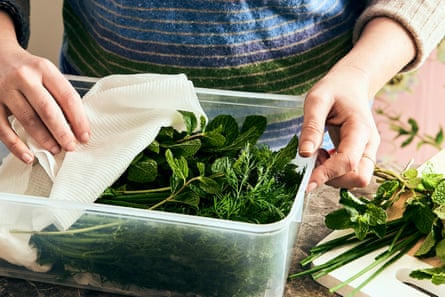 A person’s hands holding a plastic container, and peeling back a damp paper towel cover to reveal green herbs. 