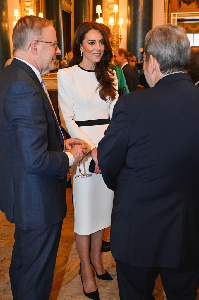 Kate Middleton Goes White in Slingbacks for Buckingham Palace Lunch â Fashion News - Fashnfly