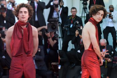 Chanel, Timothée Chalamet and the Changing Idea of Masculinity