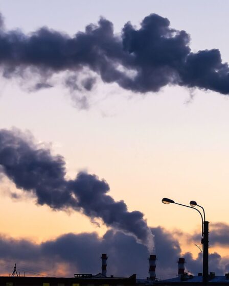 ‘Carbon Neutral’ Claims That Rely on Offsets Face UK Ban