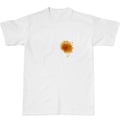 ketchup chocolate coffee wine food stains on a t shirtcollection of various food stains from ketchup, chocolate, coffee and wine on white t shirt