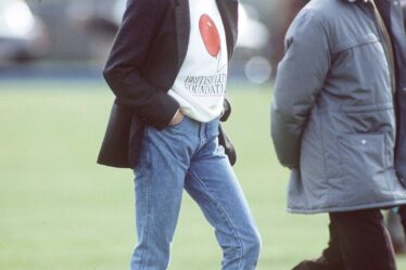 WINDSOR UNITED KINGDOM  MAY 02 Princess Diana Wearing A British Lung Foundation Sweatshirt A Baseball Cap Boots And...