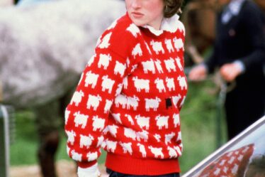 Sotheby’s to Auction Princess Diana’s ‘Black Sheep’ Sweater