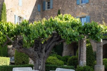 Bluesky thinking: ancient trees next to the swimming pool and wooden shutters on all the windows.