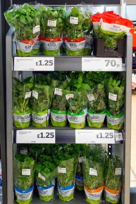 A shelf of herb pots in a supermarket