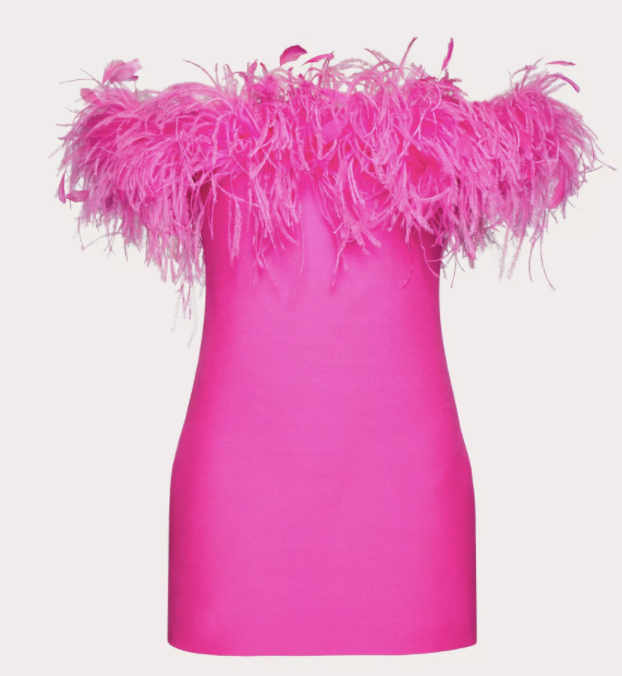 Valentino dress with feather embroidery 