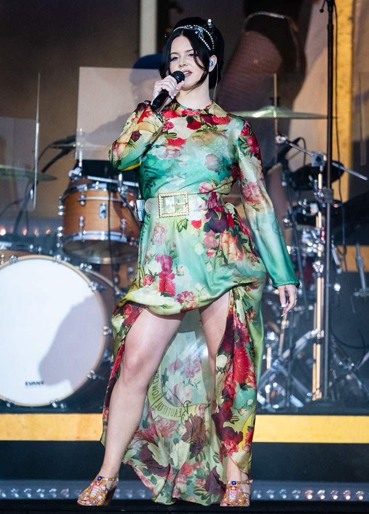Lana Del Rey Wore Zimmermann To BST Hyde Park

Zimmermann Wonderland bias slip dress 