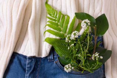 Top Benefits of Organic Clothing