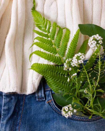 Top Benefits of Organic Clothing