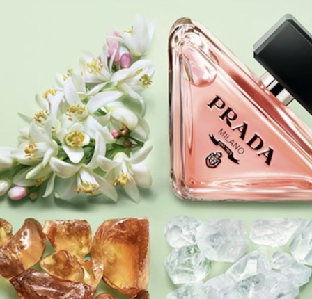 10 Distinctive Luxury Perfumes We Love