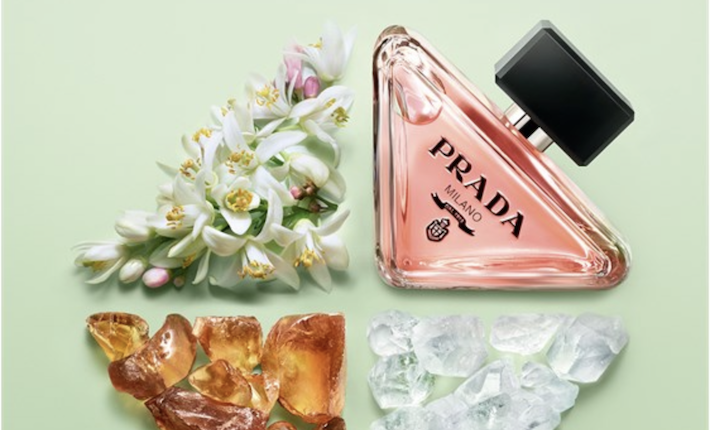 10 Distinctive Luxury Perfumes We Love