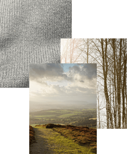 Composite of autumnal tones: woollen jumper, view through trees in wood, view over green fields.