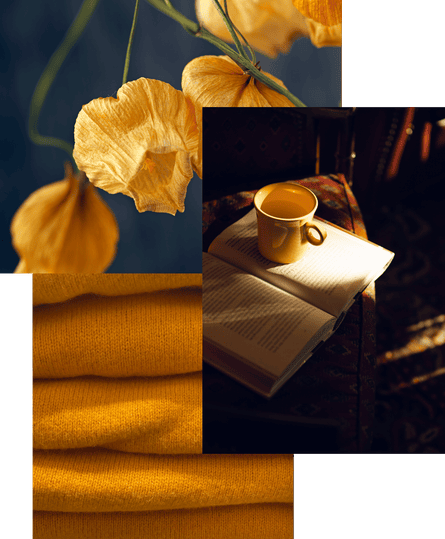 Autumn flowers, coffee and book in warn light, folded fabrics