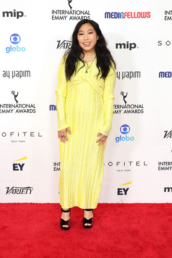 Awkwafina Wore Marina Moscone 2023 International Emmy Awards

Awkwafina, Marina Moscone, 2023 International Emmy Awards, Awkwafina Marina Moscone, Awkwafina 2023 International Emmy Awards, Awkwafina Yellow Dress, Yellow Dress, 