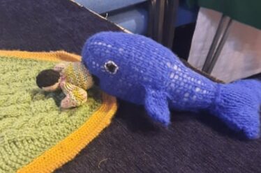 Knitted Jonah and the Whale.