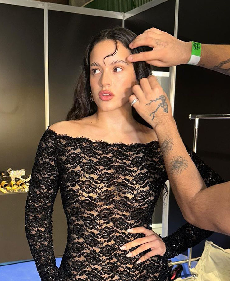 Rosalía's Latin Grammys Feathered Eyebrows