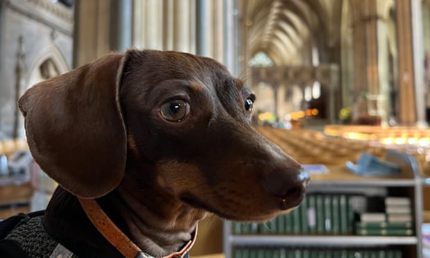 Willow visits Bristol Cathedral