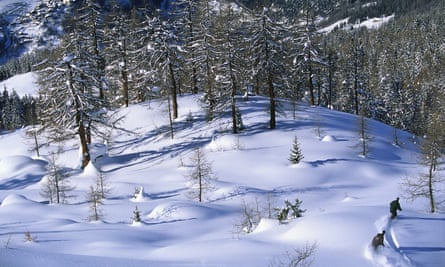 Trail blazers: two snowboarders ride into the forest in Sainte Foy French Alps.