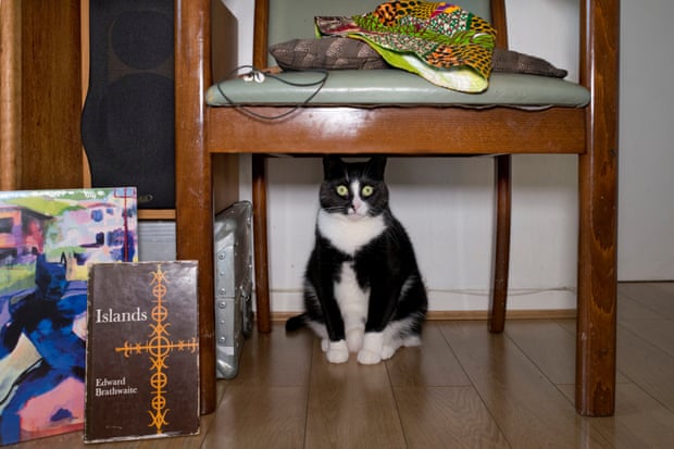 A cat hiding under a chair, with a copy of Islands by Edward Brathwaite nearby