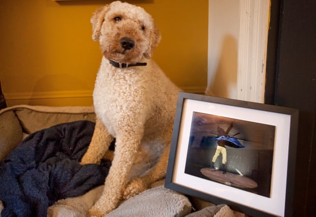A wooly-coated dog posing with an art print in a frame