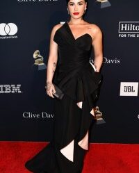 Demi Lovato, Rubin Singer, gown, Jordan Lutes, Grammys, Pre-Grammy Gala, red carpet, celebrity red carpet